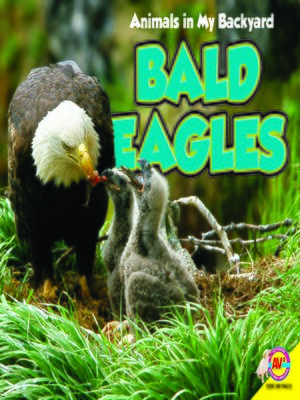 cover image of Bald Eagles